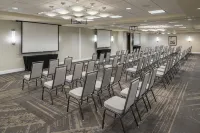 Hilton Garden Inn DFW North Grapevine Hotels in Grapevine