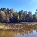 Cozy house on Lake Bambuí in Campos do Jordão