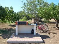 TRE NOCI HOUSE: near the sea Hotels in Lascari
