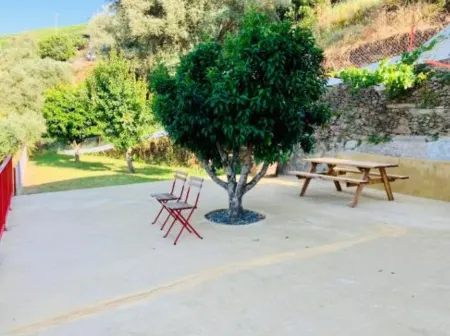 Terraços do Távora - 1 Bedroom Apartment Отели в г. Табуасу