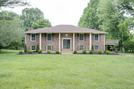 Nashville Adjacent & Peaceful!