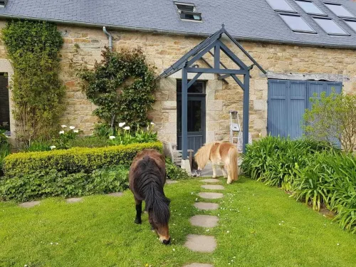 Charming residence in a floral park. Hotels in Penvenan