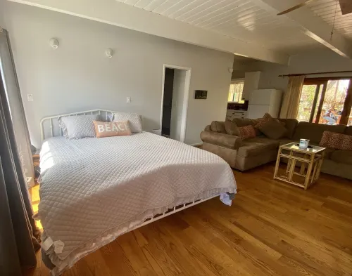 Lois Lane's Large Lovely Manhattan Beach Studio!