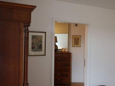 Allerinsel - Apartment at the Celle marina