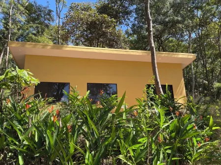 Peaceful, Meditative Casita in the Jungle,  Yet 7 Minutes to World Class Surf