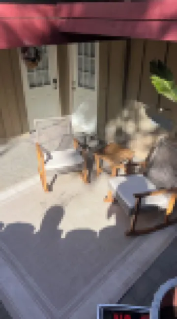 Charming Studio-bedroom house with AC and WiFi in lovely Belmont