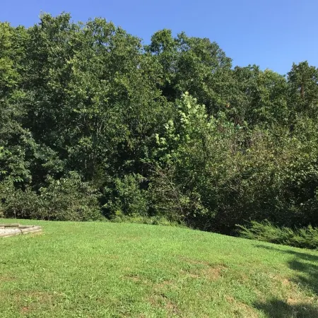Fort Wood Retreat in Saint Robert MO