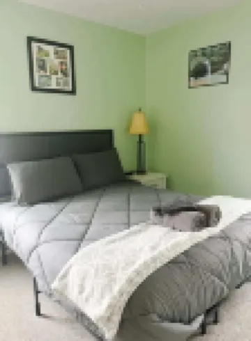 Blue Heron Cottage with Game Room, Deck and Hot Tub! Hotels in 