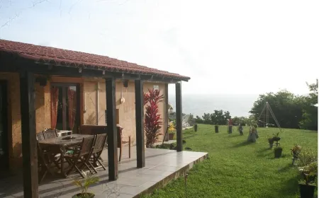 between the sea and the Caribbean sun garden