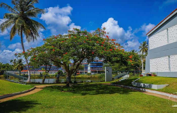 Summer Beachfront Villa – 1 Min to the Beach I Your Home Away from Home
