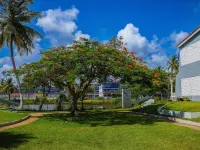 Beachfront Villa Alma Marina – 1 Min to the Beach I Your Home Away from Home Hotels in Dorado