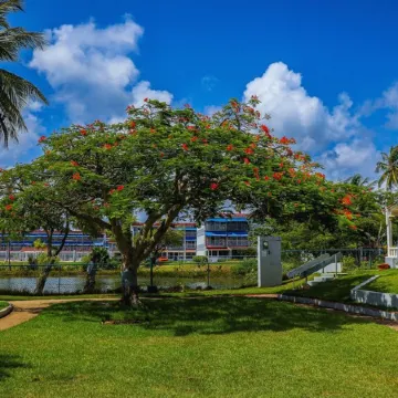 Exclusive May Offer: 20% Off Luxe Beachfront Stay Отели в г. Дорадо