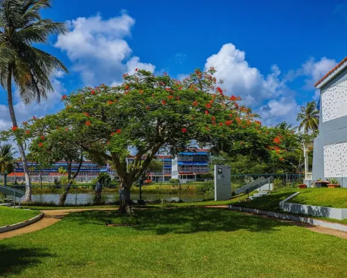 Exclusive May Offer: 20% Off Luxe Beachfront Stay Hotels in Dorado