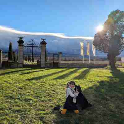 Les Cabanes Dans Les Bois Logis Hôtel Hotel Exterior