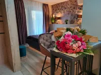 Studio apartment with terrace in Varazdin Hotels in Varazdin