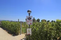 Apartment in Tuscany near Sandy Beaches