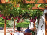 Monte Da Vilarinha Hotels in Aljezur