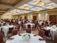 DoubleTree by Hilton San Antonio Airport Hotels in Bexar County