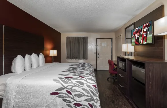 弗多斯塔大學紅頂酒店