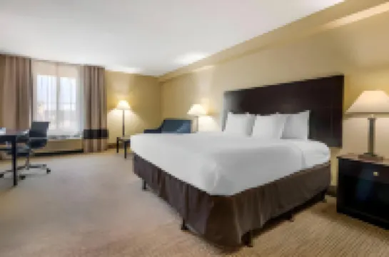 Comfort Inn International Drive