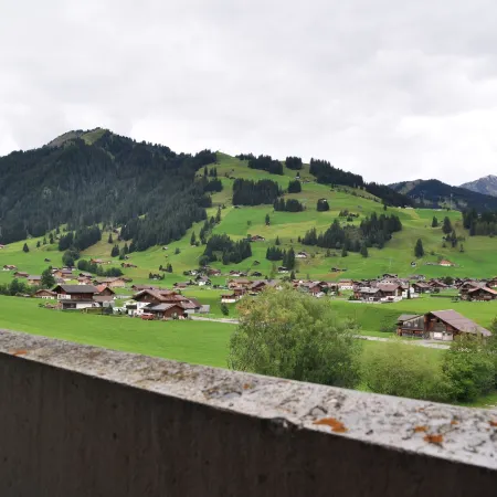 Ferien- Und Familienhotel Alpina Adelboden