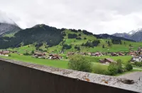 Ferien- Und Familienhotel Alpina Adelboden - Mountain view