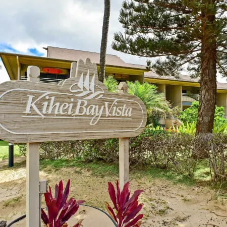 Kihei Condo Steps to Kalepolepo Beach Park!