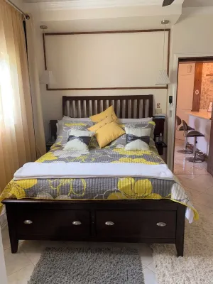 LenDeens an Affordable Hillside1BD/1BTH Apartment w/ AC and Gorgeous Oceanviews