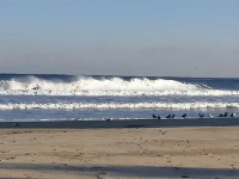 Yangyang Ocean Sketch 24k