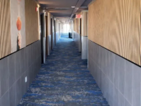 Tropical Palms Hotel Hotels in Clearwater