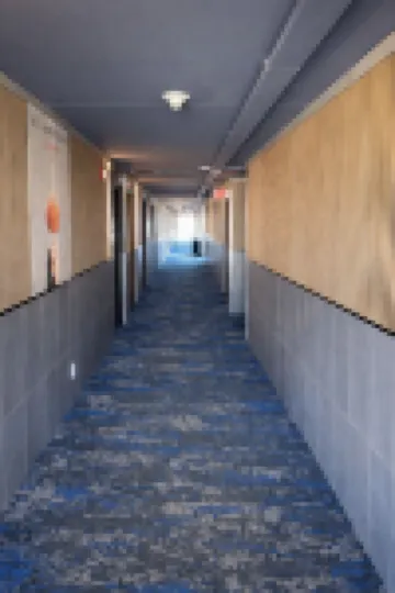 Tropical Palms Hotel