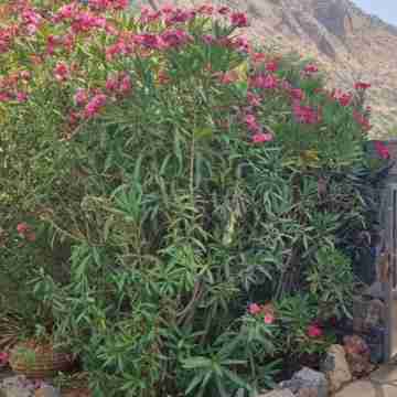 Plaka-Sleeps4-Parking-Pool-Hottub-Seaviews Hotel Exterior