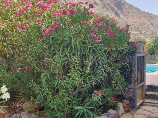 Plaka Elounda Private Pool 2 Beds Jaccuzi Parking Spinalonga Sea Views