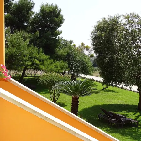 Sole del Mediterraneo