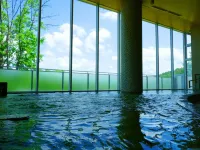 Shin Furano Prince Hotel - spa