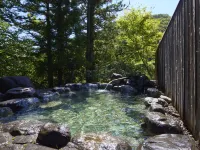 Akagiyama Futokoro - avec sources thermales