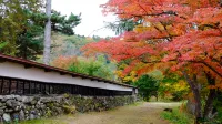 Seiryu No Yado Kawachi - Spa