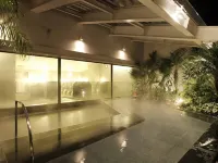 Hotel Emion Tokyo Bay - con terme