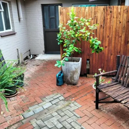 Finch & Fern Guesthouse