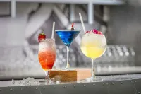 Protea Hotel O.R. Tambo Airport - bar
