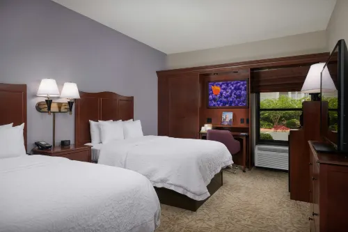 Hampton Inn Clemson-University Area - piscina