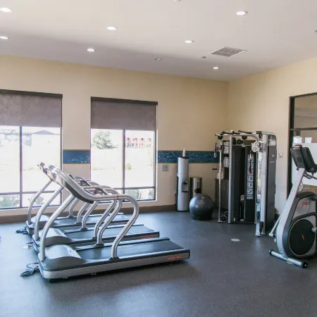 Hampton Inn & Suites Amarillo-East