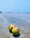Ratnodwip Beach View Resort - 2-Star