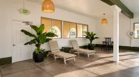 El Castell Motel - 2-Star