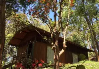 Meriyanda Nature Lodge Coorg Hotels in Kandanakolli
