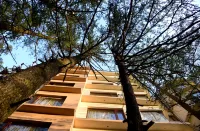 Royale Retreat Hotel & Spa Near Mall Road Отели рядом с достопримечательностью «Ридж»