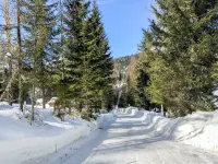 Chalet Almhaus Galisch by Interhome