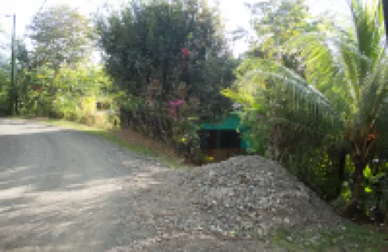 Enchanting House Overlooking the Primary Forest