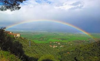 Locanda Mossa Dei Barbari