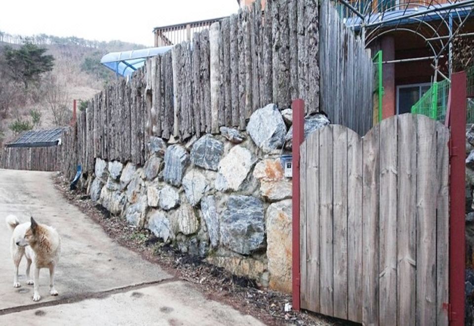 영월 자연치유민박 내부 온돌룸